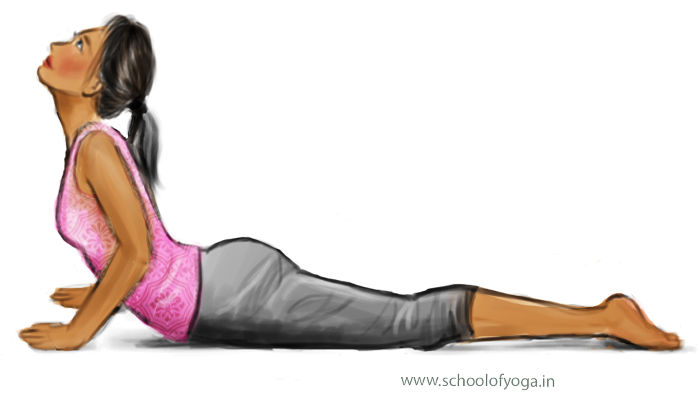 Bhujangasana – Cobra Pose – School of Yoga