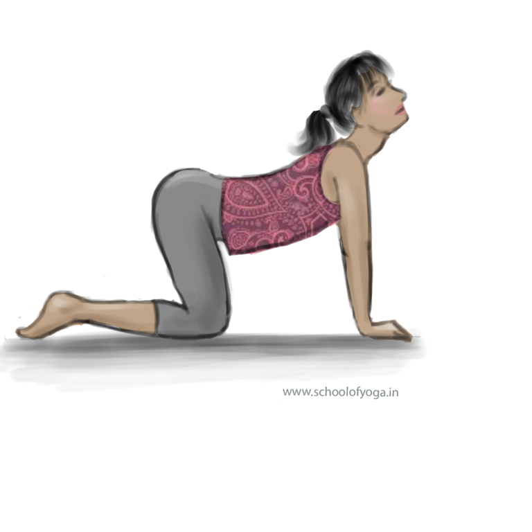 4 Asana 37A marjari asana Anu – School of Yoga