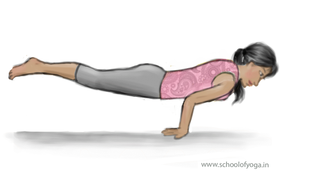 How to do mayurāsana (peacock pose) correctly - Image 3: Mayurāsana illustration