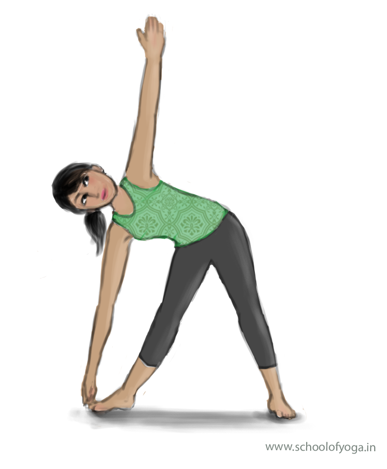 Drishti in yoga: Power of the single point of focus - Image 1: Pārshva drishti in trikoṇāsana