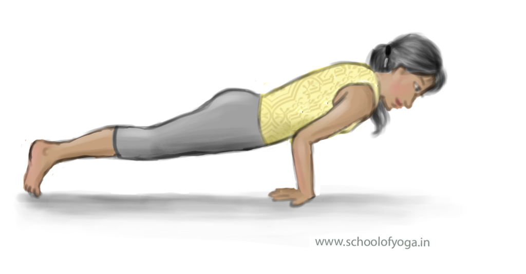 Hamsasana: Swan pose for strength and lateral balance - Image 1: Illustration of hamsasana