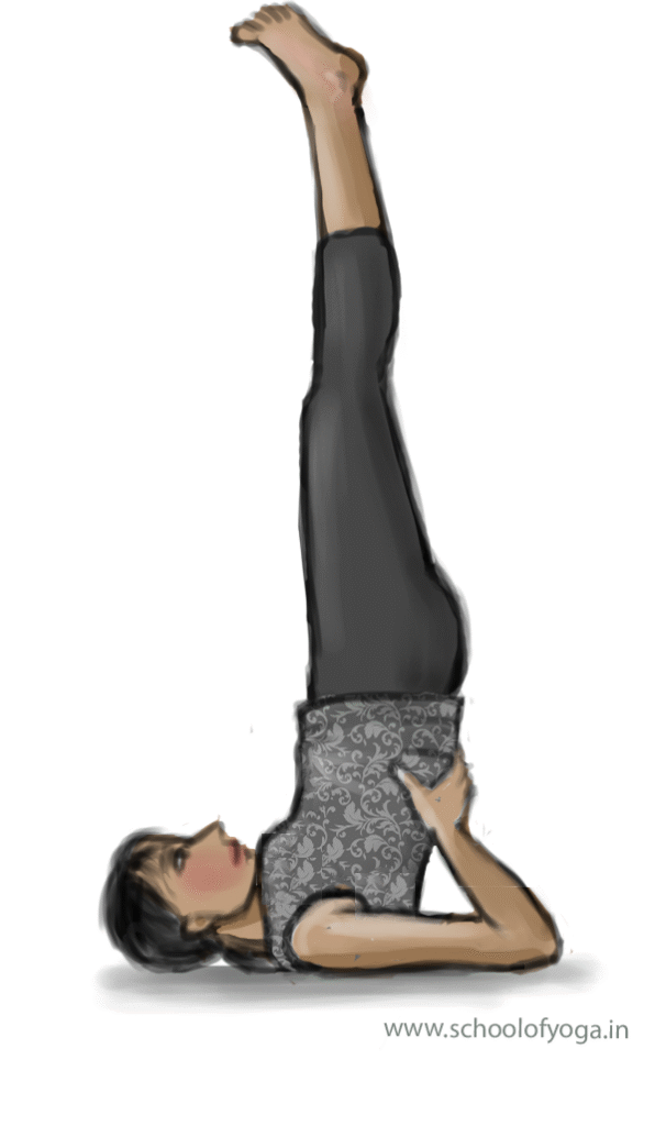 Dṛṣṭi: Power of the single point of focus in āsana - Image 4 : Sarvāngāsana 