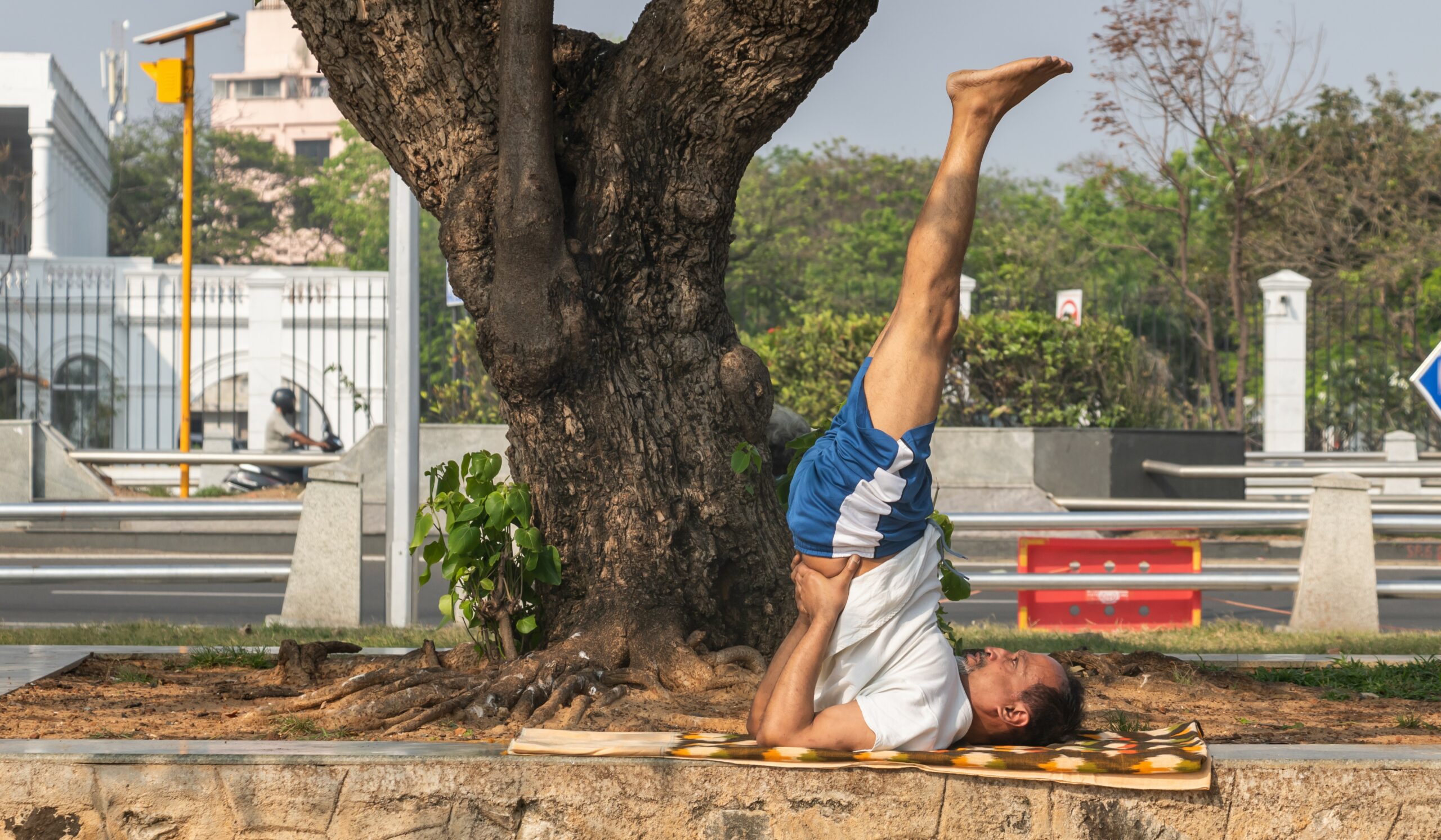 Shoulderstand (Salamba Sarvangasana) | Iyengar Yoga