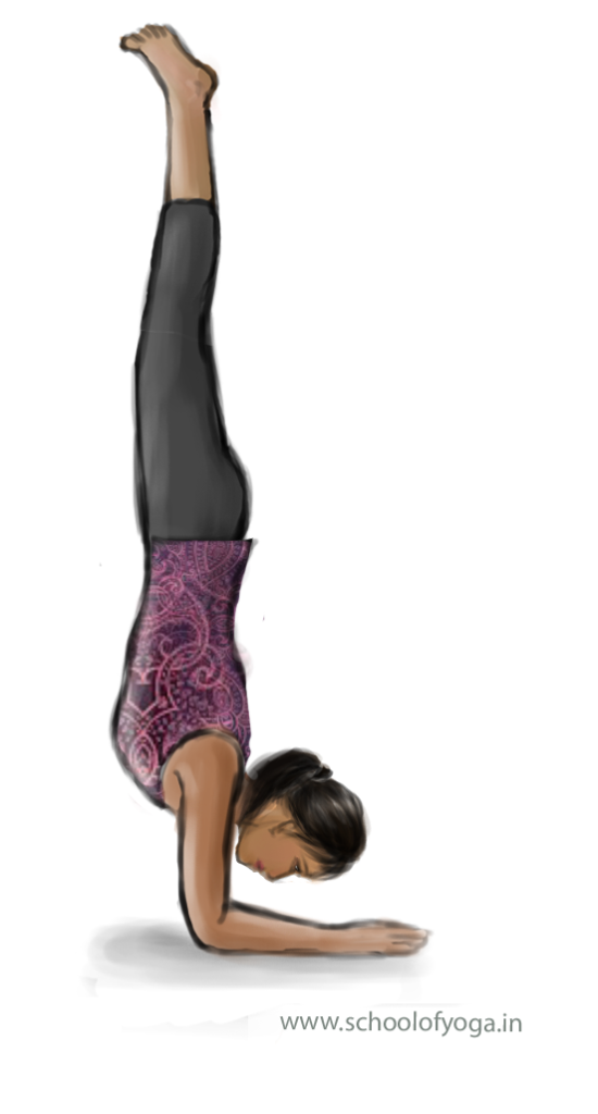 Pincha mayurasana – Feather Peacock Pose – School of Yoga