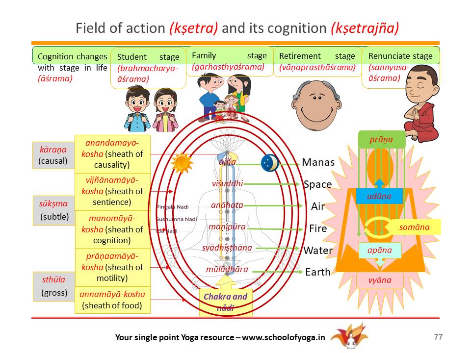 Understanding prāṇa (motility) in a simple way – Image 2: Kṣetra and kṣetrajña