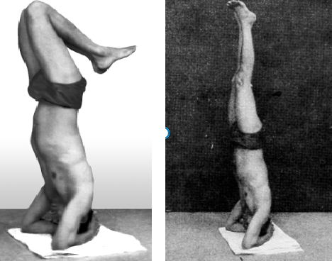 How to do the śiraśāsana (headstand pose) safely - Image 2: Yogacharya Sundaram demonstrating intermediate and final śiraśāsana position (1920s) 