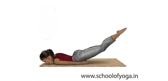 Shalabhasana (locust pose) gives a strong back and abdomen_Featured Image